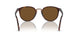 24/57 - Havana - Brown Polar