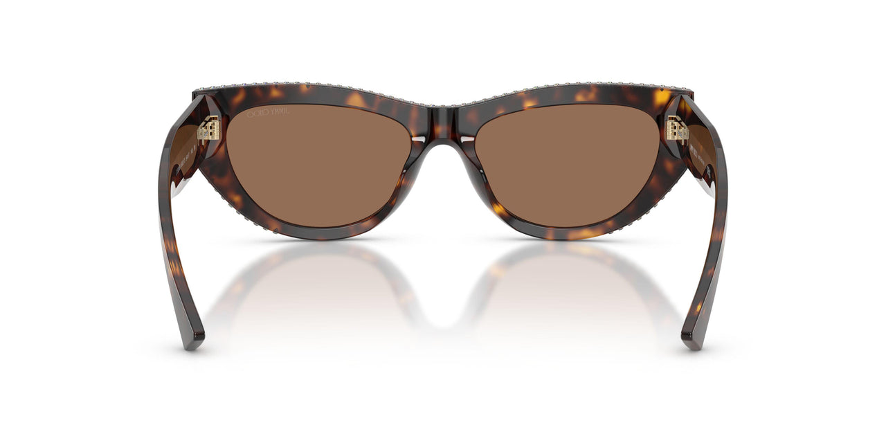 500273 - Tortoise - Dark Brown