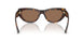 500273 - Tortoise - Dark Brown