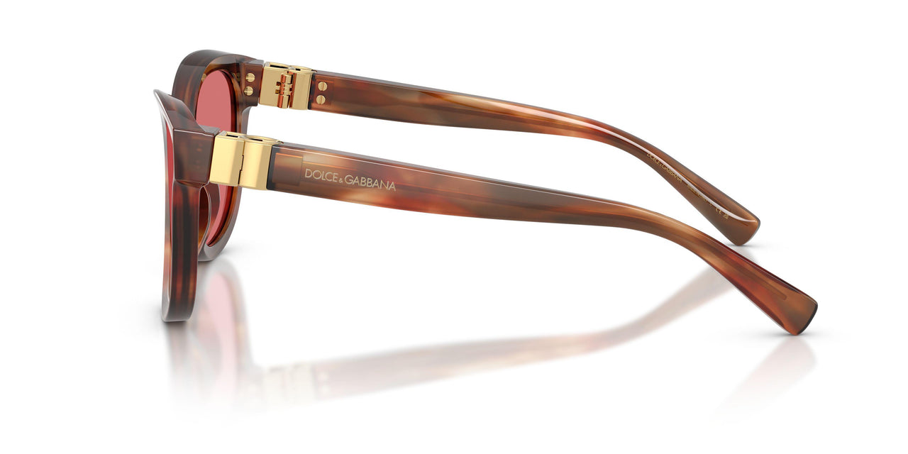 322175 - Tortoise - Red
