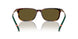 613773 - Tortoise - Olive Green