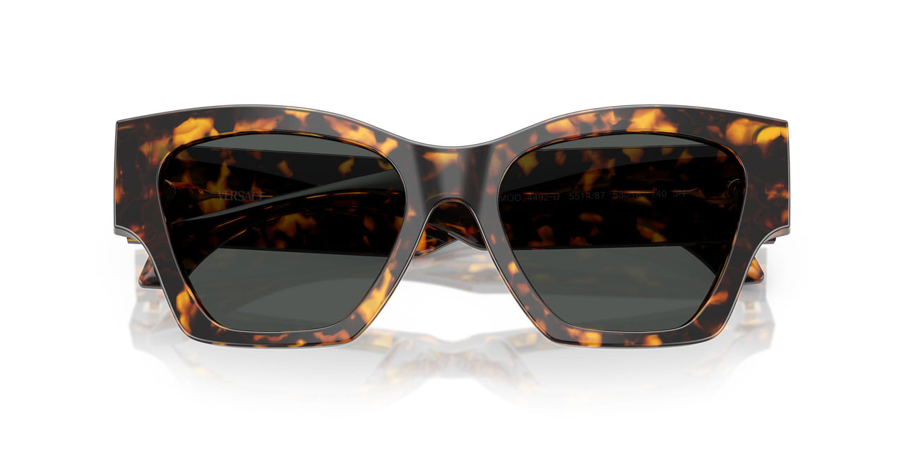 551487 - Tortoise - Dark Grey