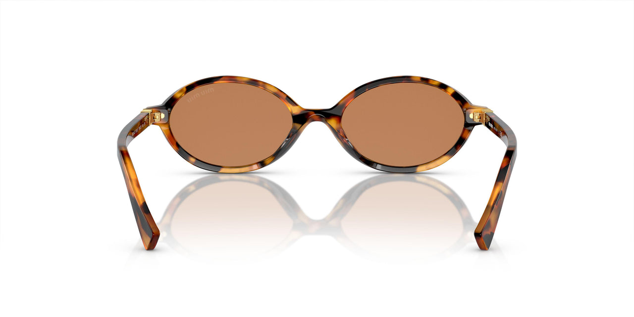 19P2Z1 - Tortoise - Brown