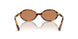 19P2Z1 - Tortoise - Brown