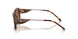 205073 - Tortoise - Dark Brown