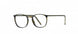 5530 - Havanna Pine Green