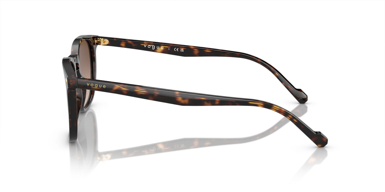 W65613 - Havana - Brown Gradient