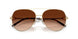 911674 - Gold - Gradient Brown