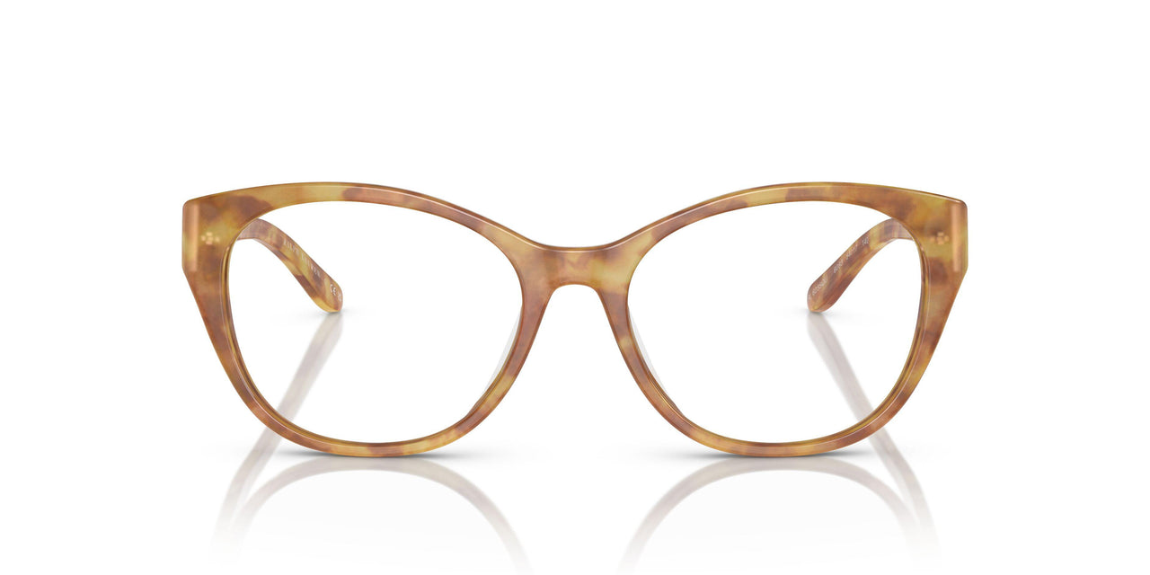 6083 - Tortoise