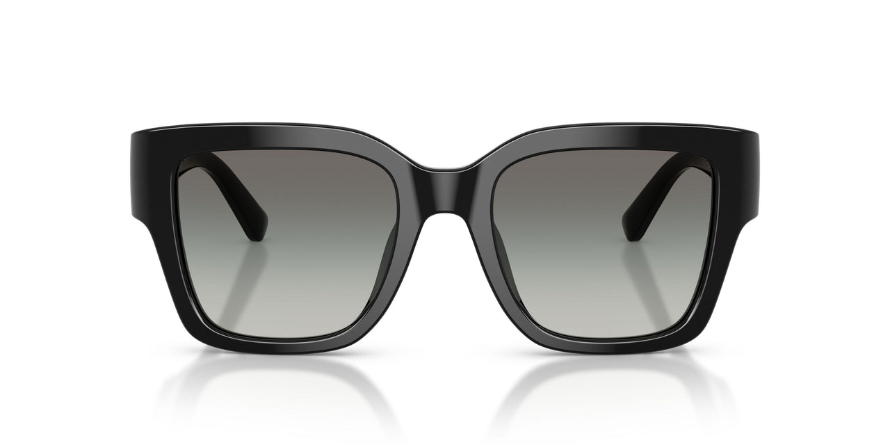 170911 - Black - Grey Gradient