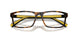 5003 - Tortoise
