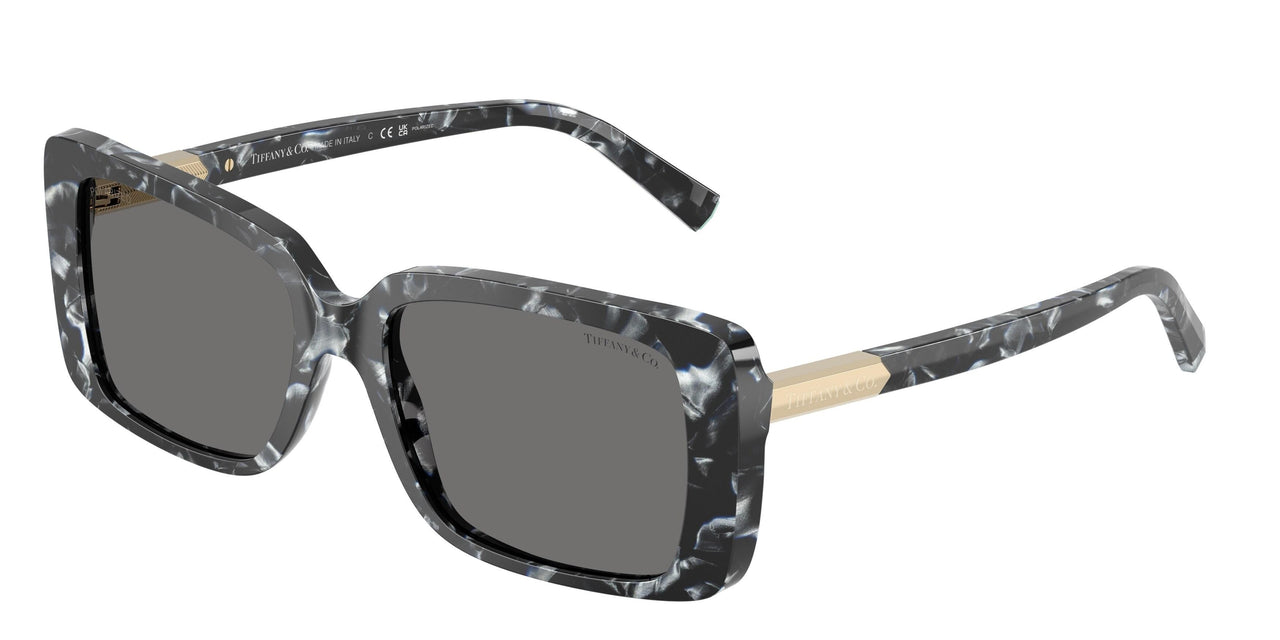 842881 - Tortoise - Dark Grey Polarized