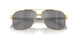 1002Z3 - Gold - Dk Grey Mirror Silver Polar