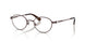 4041 - Brown