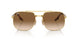 001/51 - Gold - Clear Gradient Brown