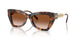 39043B - Tortoise - Brown Gradient