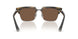 306373 - Tortoise - Brown