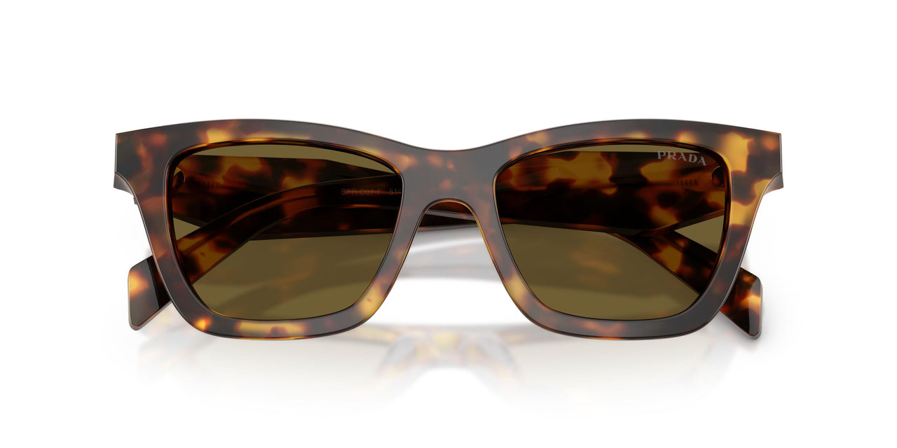 14L09Z - Tortoise - Dark Brown
