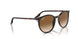 902/51 - Tortoise - Clear/brown