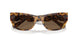 104073 - Tortoise - Dark Brown