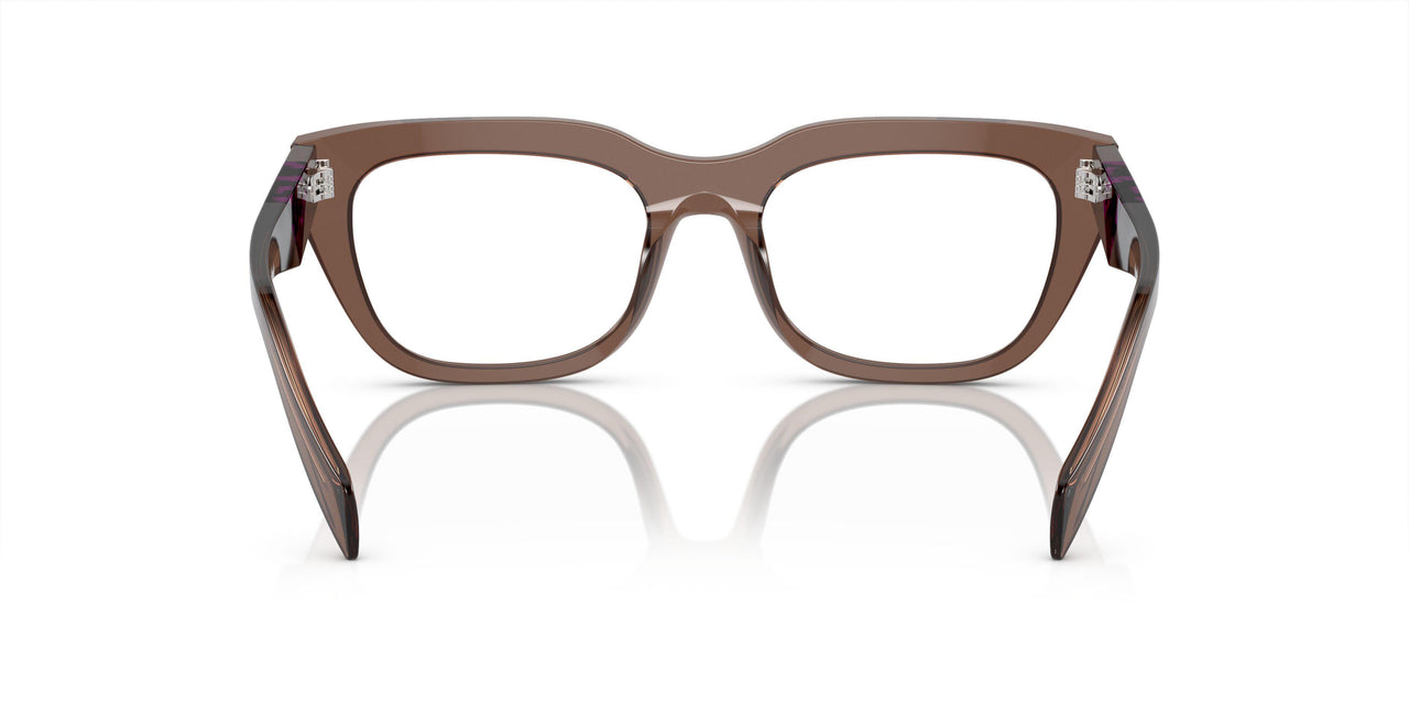 17O1O1 - Brown