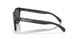 950307 - Black - Prizm Black Polarized