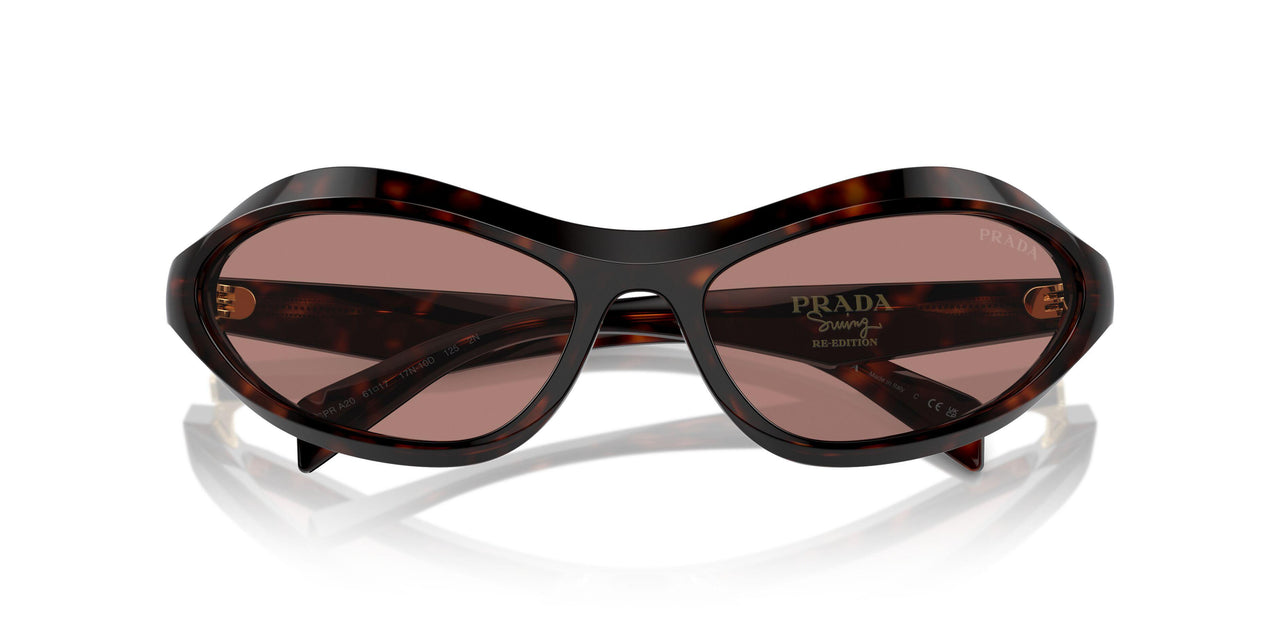17N10D - Tortoise - Light Brown