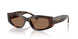 500273 - Tortoise - Dark Brown