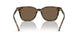 562573 - Multi - Brown