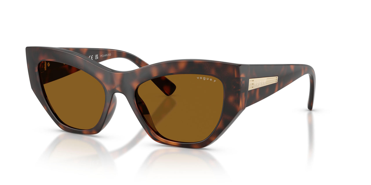 271883 - Brown - Dark Brown Polar