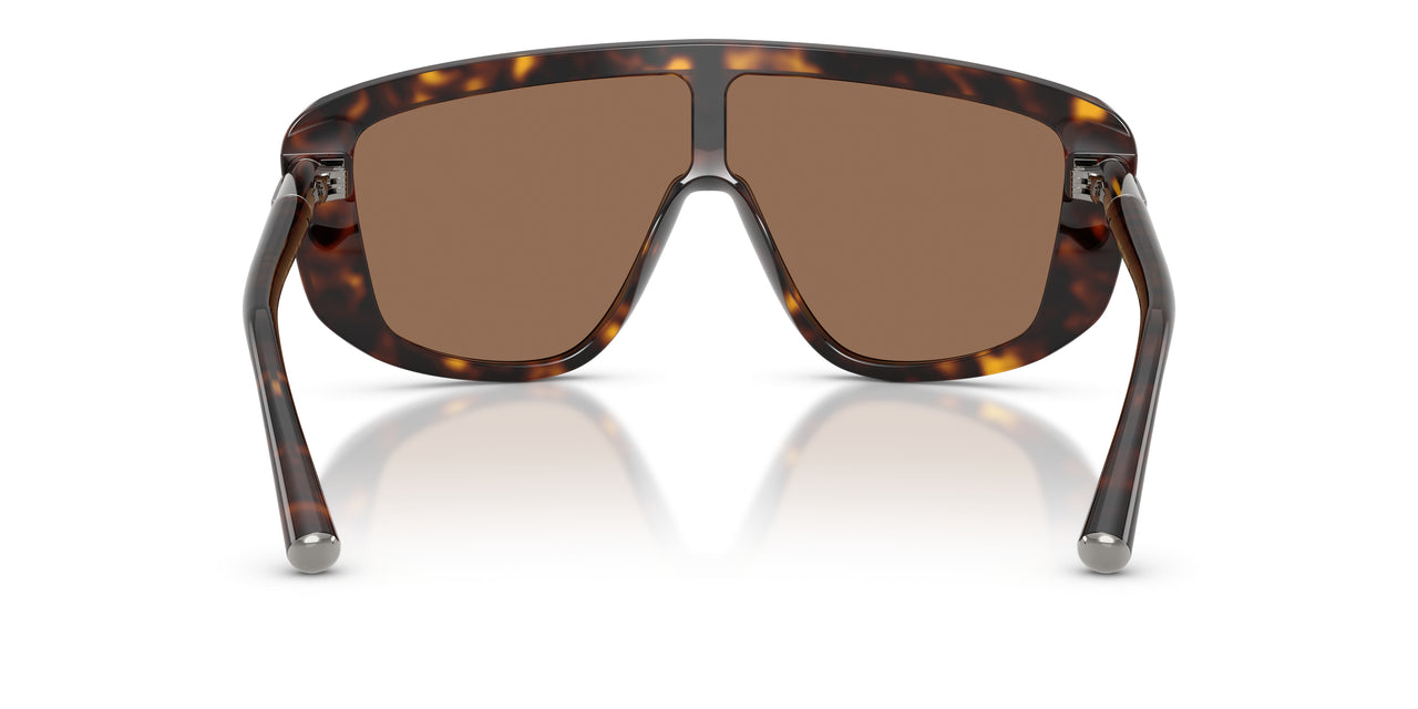 502/73 - Tortoise - Dark Brown