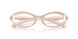 2034 - Brown