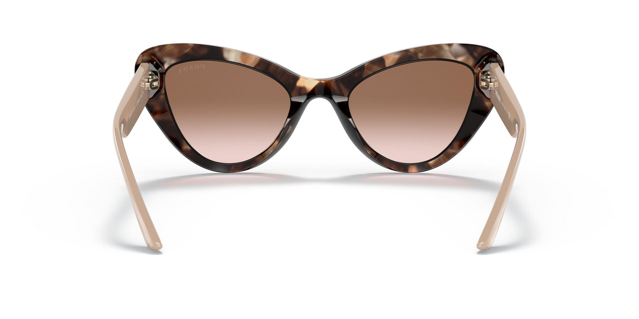 07R0A6 - Havana - Brown Gradient