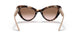 07R0A6 - Havana - Brown Gradient