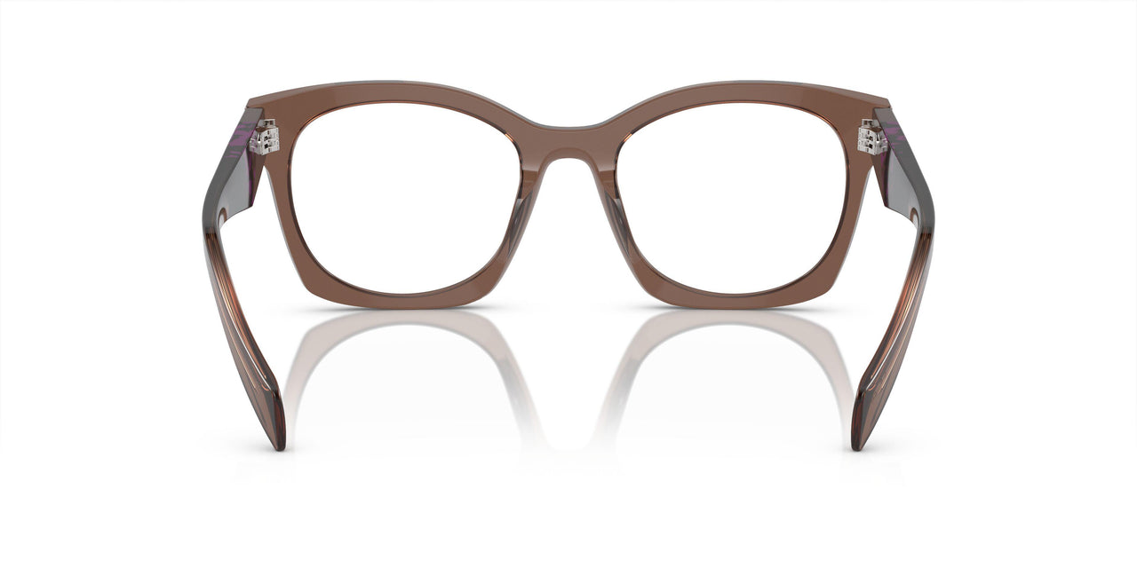 17O1O1 - Brown