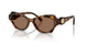 100273 - Tortoise - Dark Brown