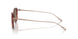 333573 - Tortoise - Dark Brown