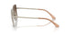 301313 - Gold - Gradient Brown