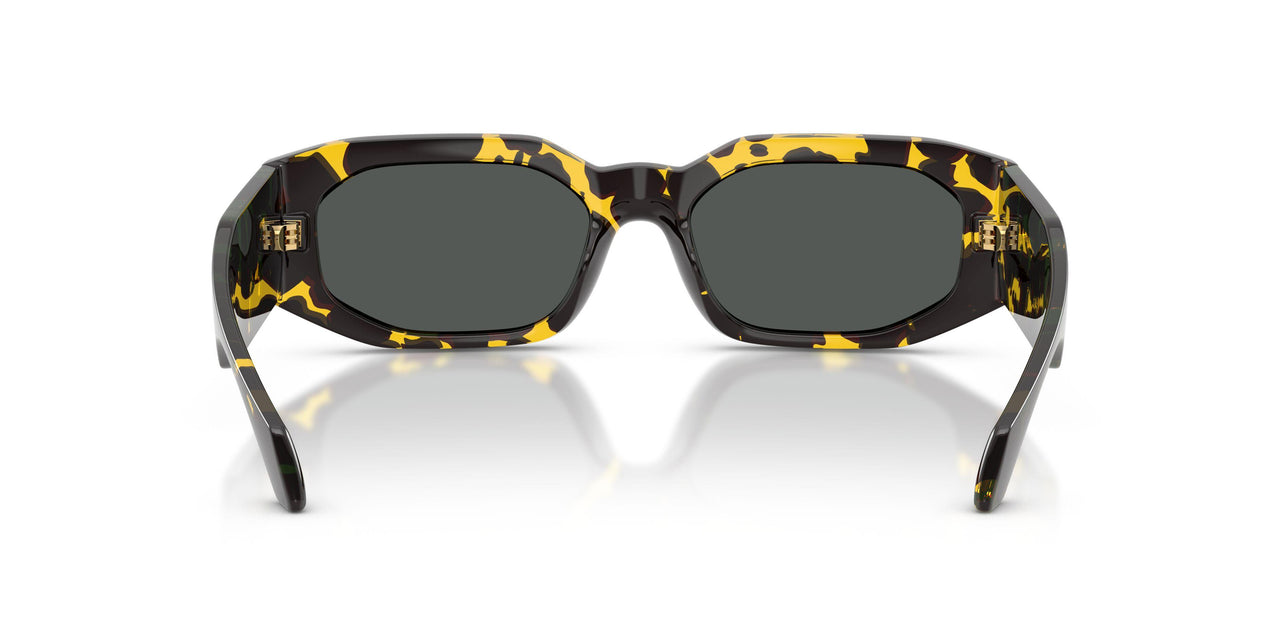 552887 - Tortoise - Dark Grey