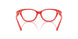 5529 - Red