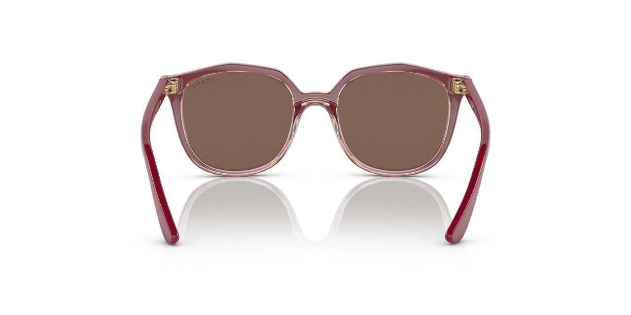 293173 - Pink - Dark Brown