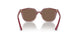 293173 - Pink - Dark Brown