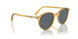 204/R5 - Yellow - Blue