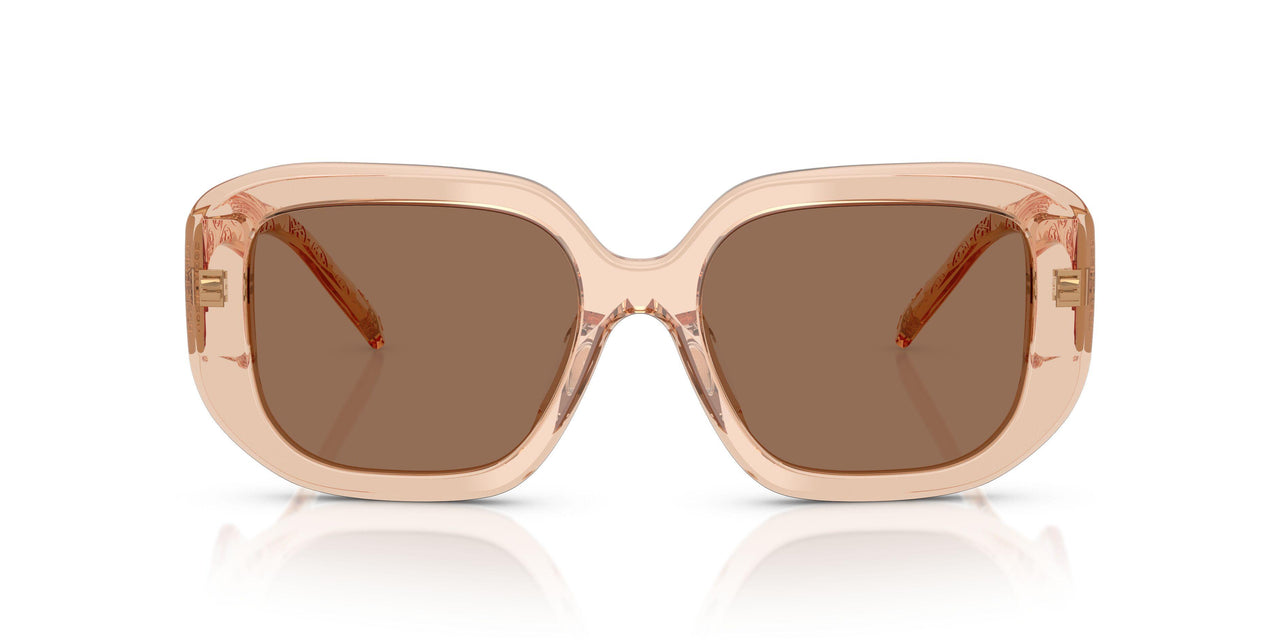 195473 - Brown - Brown