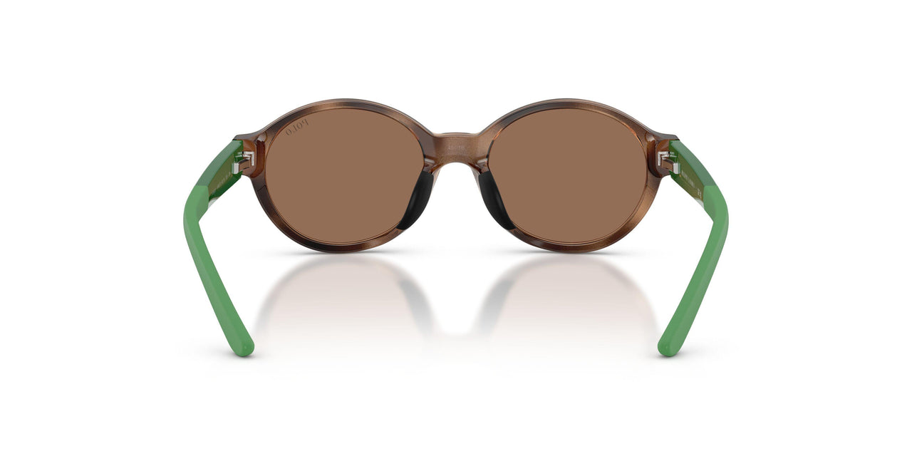 597473 - Tortoise - Dark Brown
