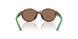 597473 - Tortoise - Dark Brown