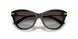 501/8G - Black - Light Grey Gradient Black