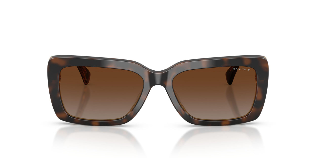 6294T5 - Tortoise - Brown Gradient Polarized