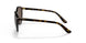 W65673 - Havana - Dark Brown