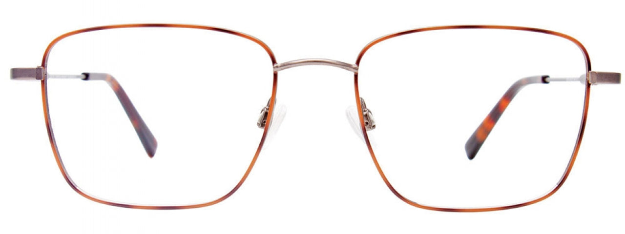 10 - Tortoise & Grey / Tortoise & Grey